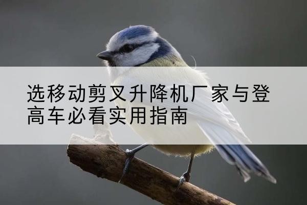 松江区电动升降机厂家-选移动剪叉升降机厂家与登高车必看实用指南