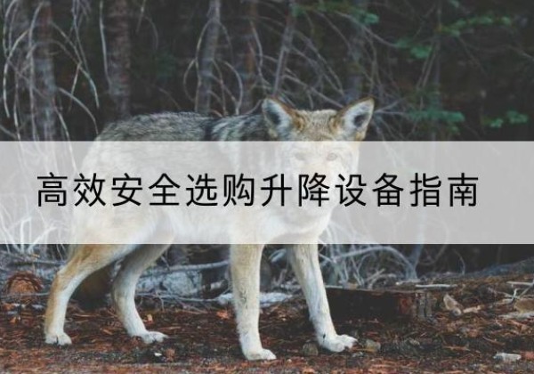 松江区升降货梯厂家推荐-*安全选购升降设备指南